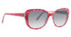 Vera Bradley VBLAURAH Sunglasses