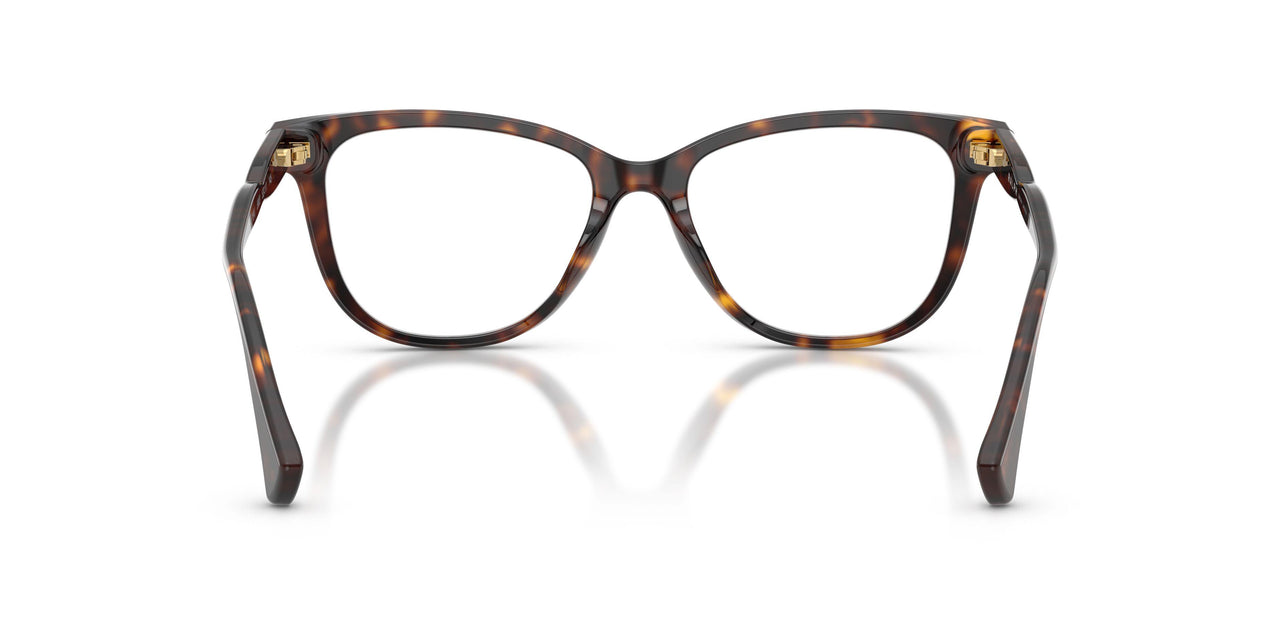 5003 - Tortoise