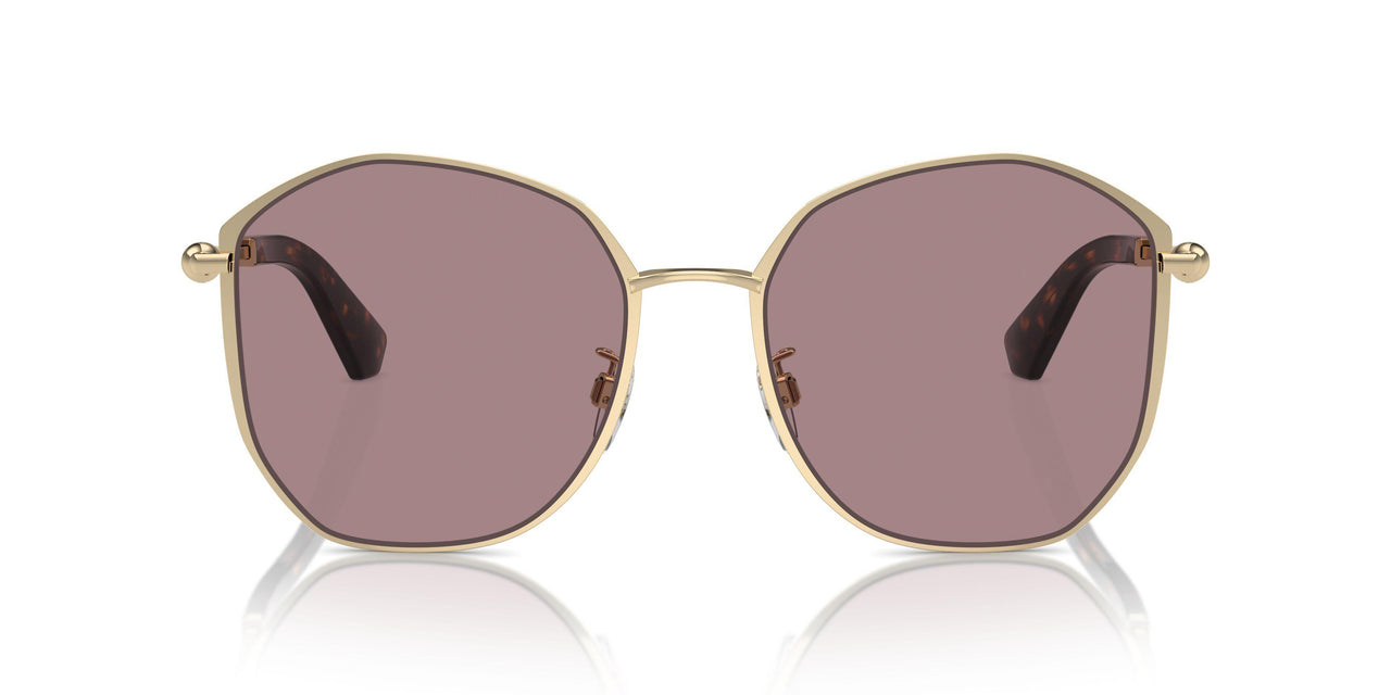11097N - Gold - Light Purple Brown