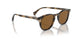 171353 - Brown - True Brown