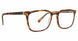 MTR - Matte Tortoise