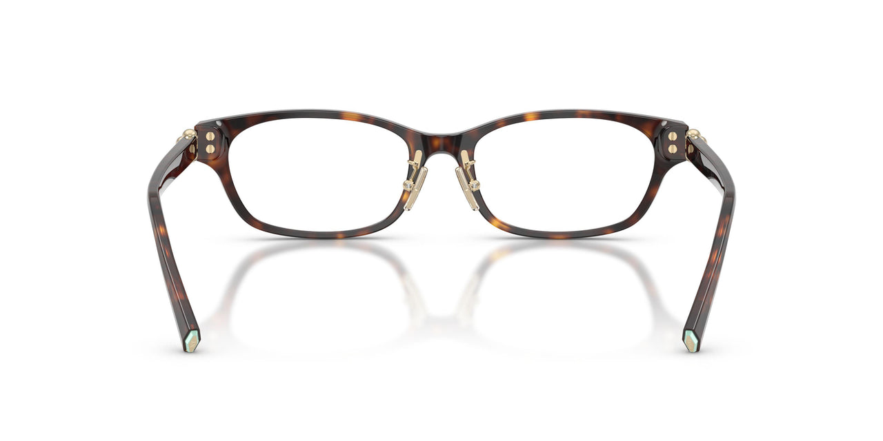 8015 - Tortoise
