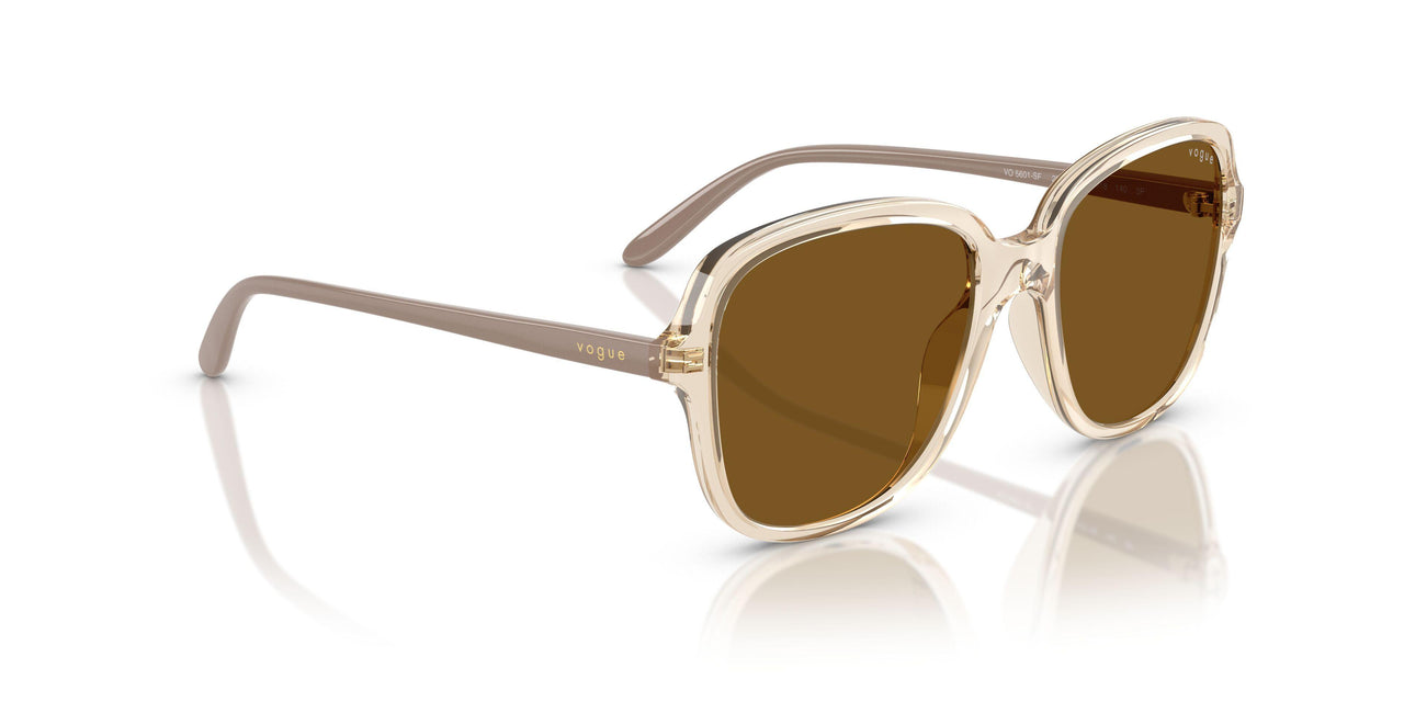 299083 - Brown - Dark Brown Polar