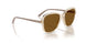 299083 - Brown - Dark Brown Polar