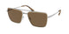 189373 - Silver - Brown Solid