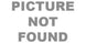 Guess 2849 Eyeglasses