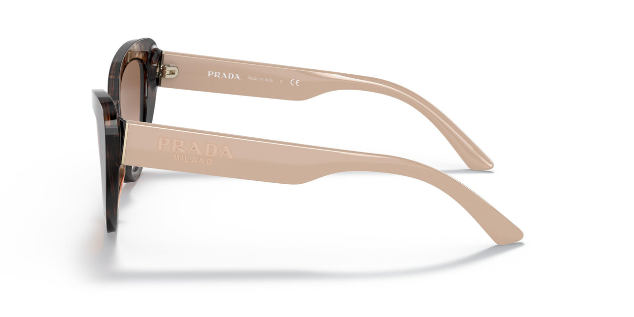 07R0A6 - Havana - Brown Gradient