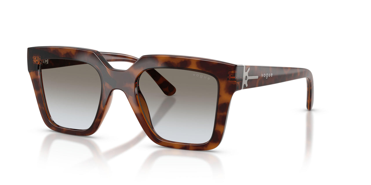 Vogue 5690S Sunglasses