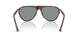 24/56 - Tortoise - Light Blue