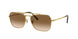 Ray-Ban New Caravan 3636 Sunglasses