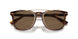 613773 - Tortoise - Brown