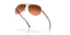 407946 - Gold - Prizm Brown Gradient