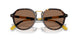 500373 - Tortoise - Dark Brown