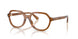 Polo 2310U Eyeglasses