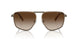 100113 - Grey - Brown Gradient