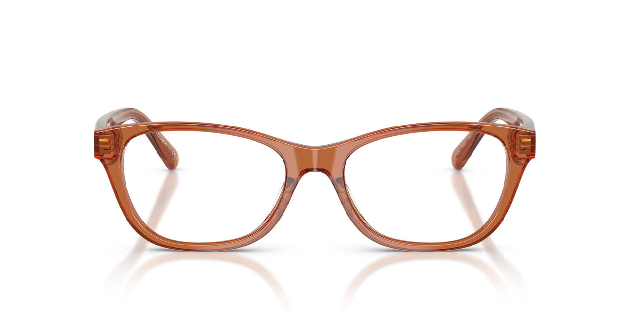 2078 - Brown