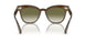 16258E - Brown - Olive Gradient