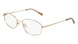 Flexon W3039 N Eyeglasses