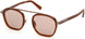 ZEGNA 0231 Sunglasses