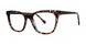 BRWNTRTSBRWN - Brown Tortoise/Brown