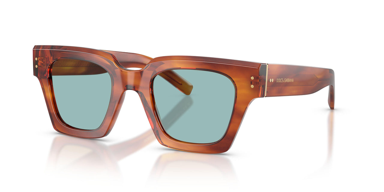 322180 - Tortoise - Blue