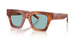 322180 - Tortoise - Blue