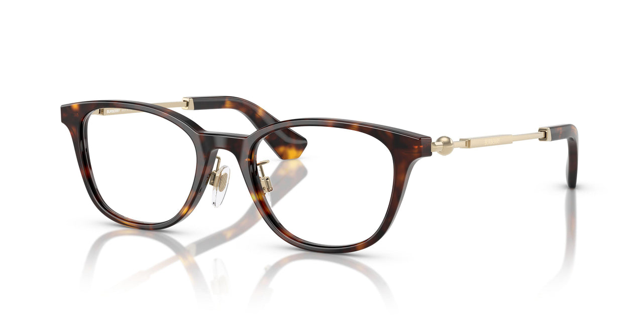 3002 - Brown