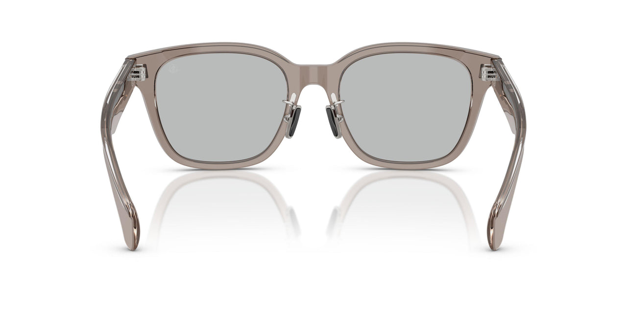 300987 - Grey - Light Grey