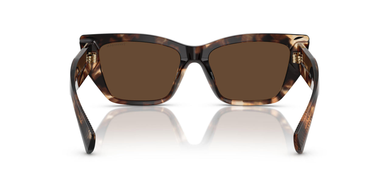 84213G - Brown - Light Brown