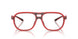 2009 - Red