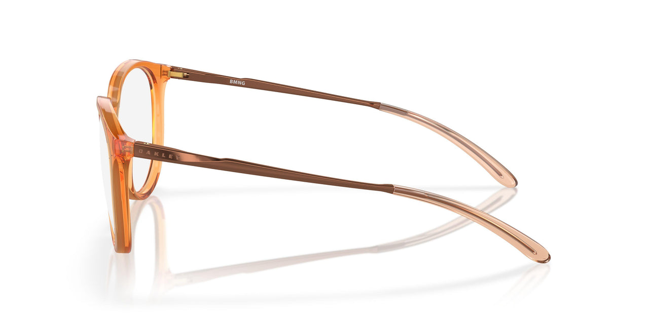 815005 - Brown