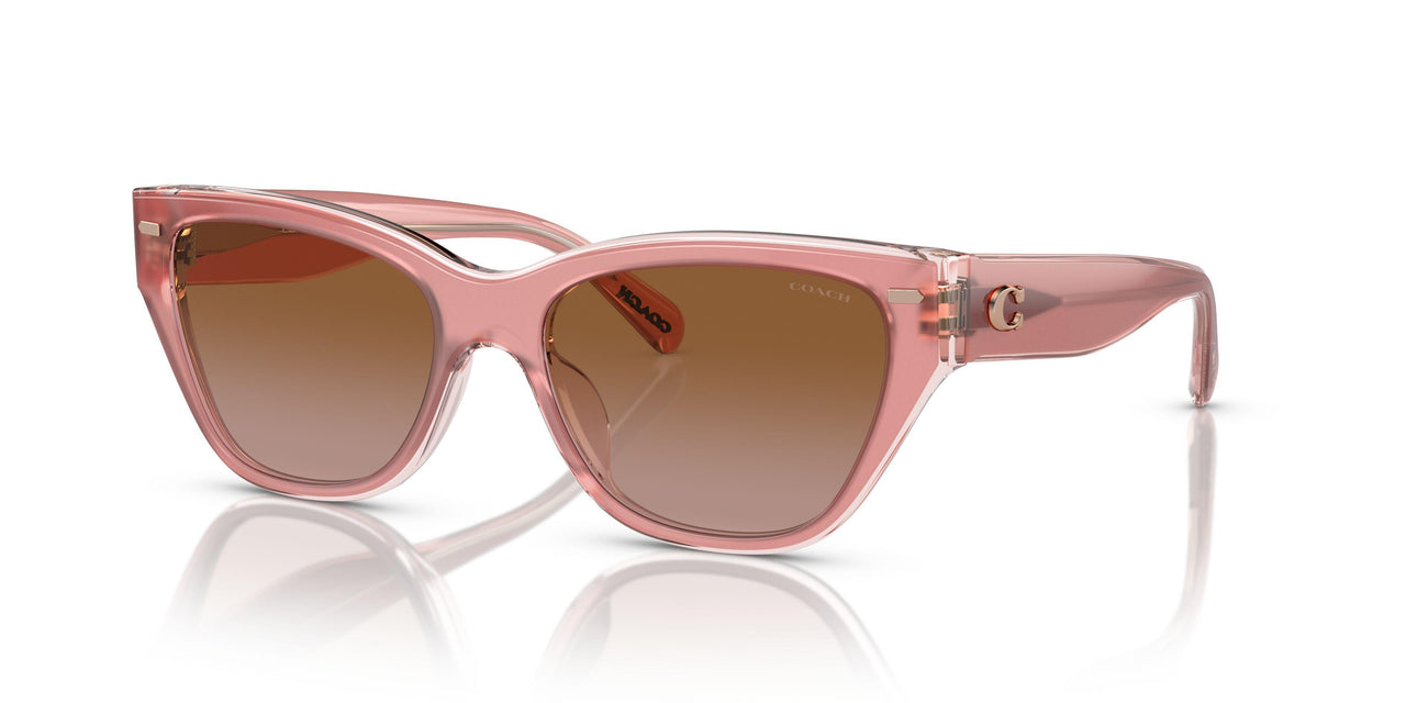 574313 - Pink - Brown Gradient