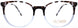 Flower FLR6048D Eyeglasses