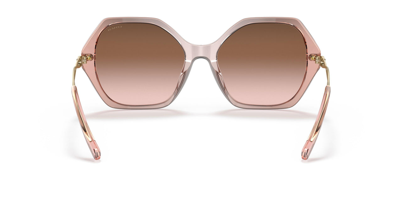 564013 - Orange - Brown Rose Gradient