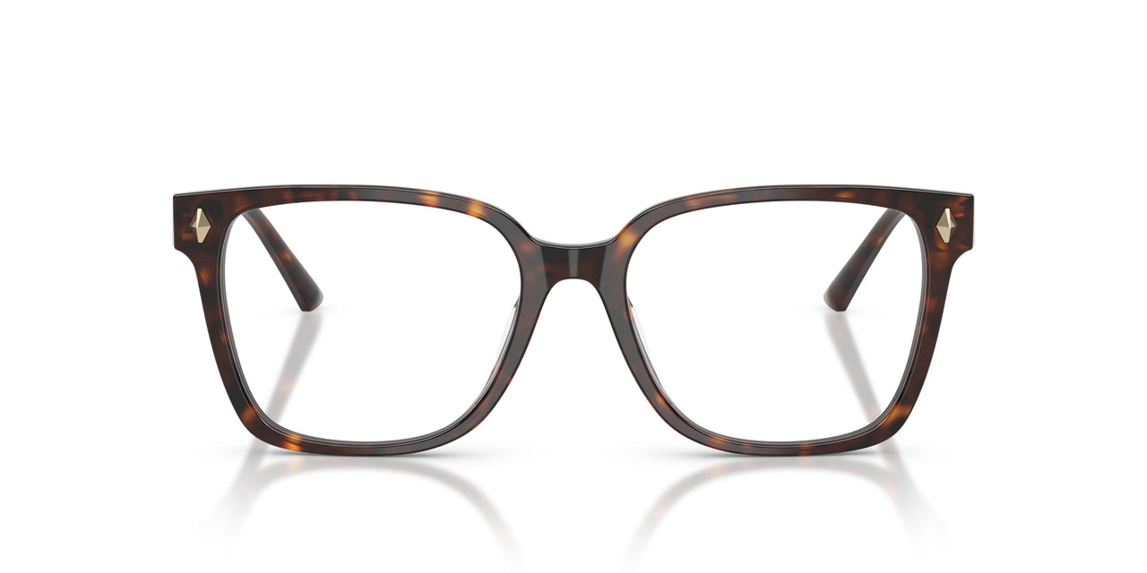 5002 - Tortoise