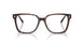 5002 - Tortoise