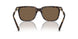 587973 - Tortoise - Dark Brown
