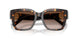 198113 - Tortoise - Brown