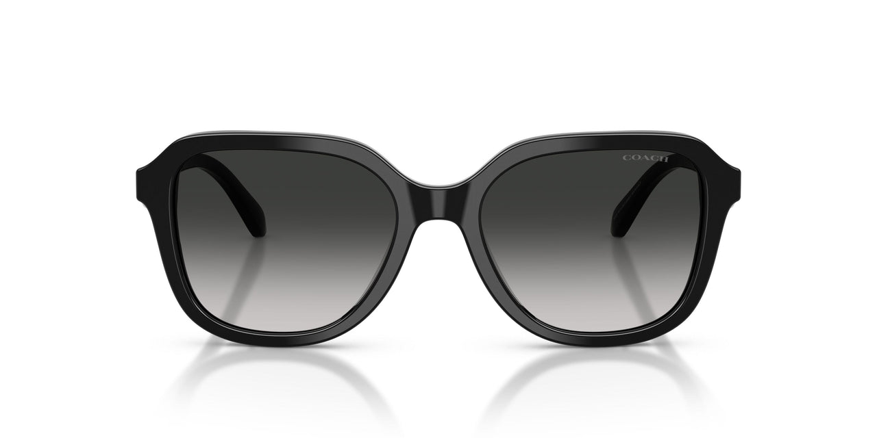 50023C - Black - Grey Gradient