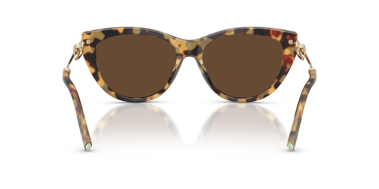 80643G - Tortoise - Light Brown