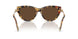 80643G - Tortoise - Light Brown