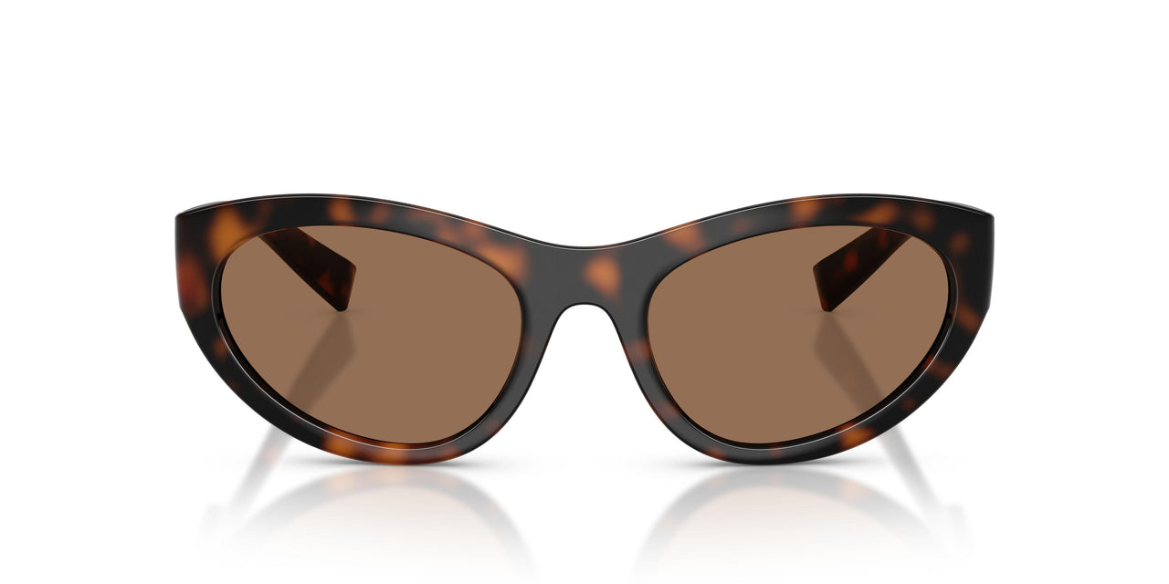 502/73 - Tortoise - Dark Brown