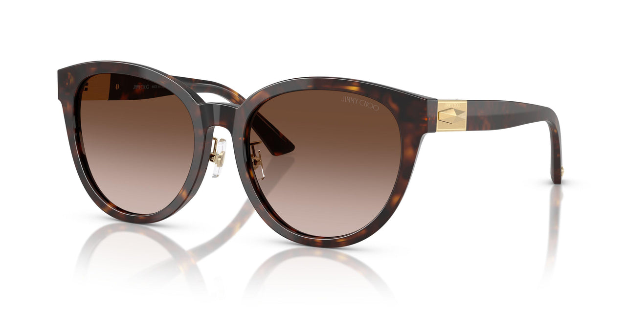 50028G - Tortoise - Gradient Brown