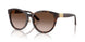 50028G - Tortoise - Gradient Brown