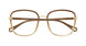 014 - Brown - Transparent