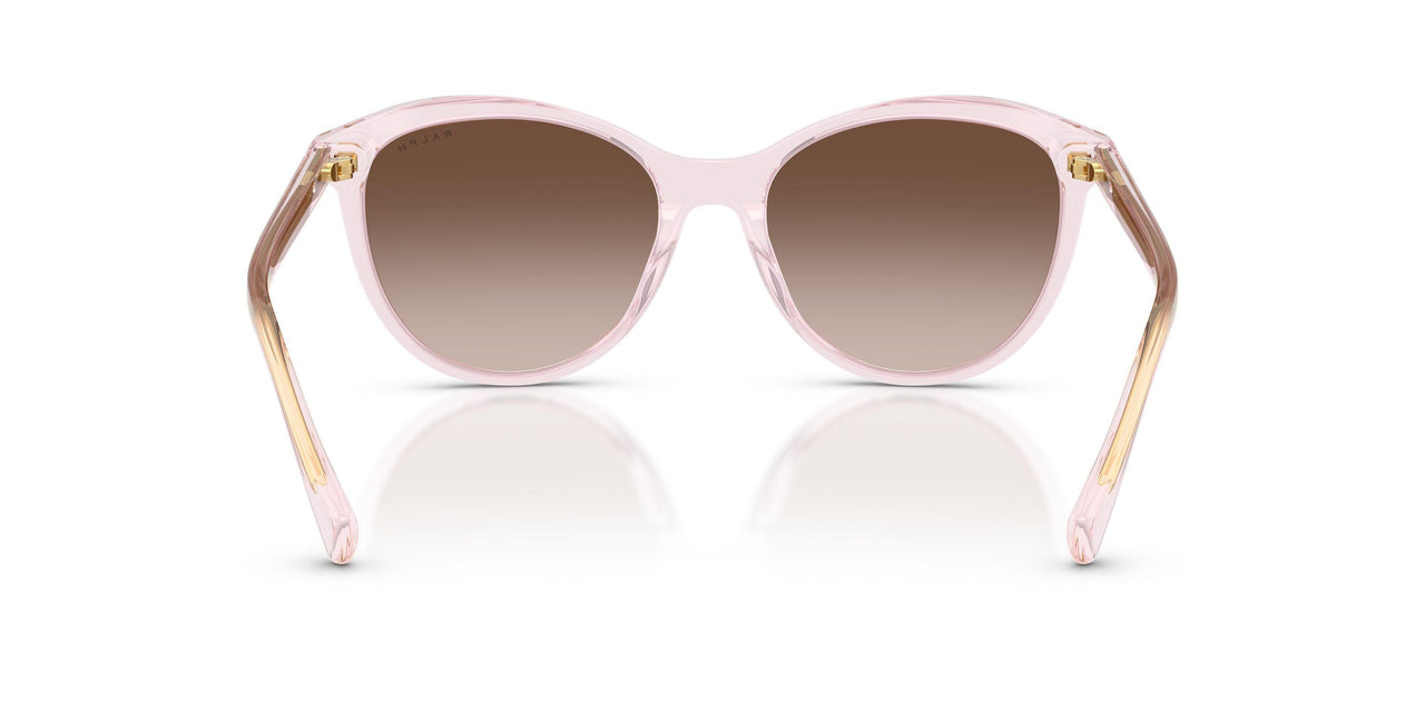 604313 - Pink - Gradient Brown