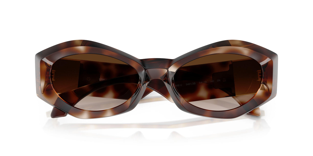 54613B - Tortoise - Brown Gradient