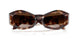 54613B - Tortoise - Brown Gradient
