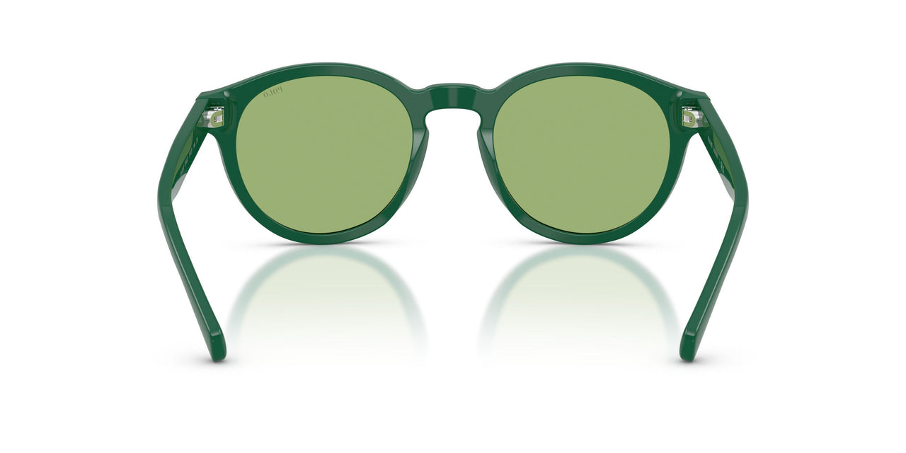6141/2 - Green - Light Green