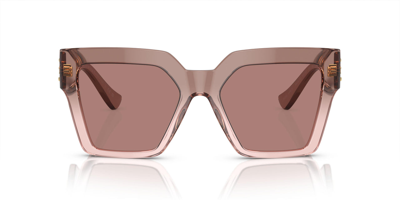 543573 - Brown - Light Brown